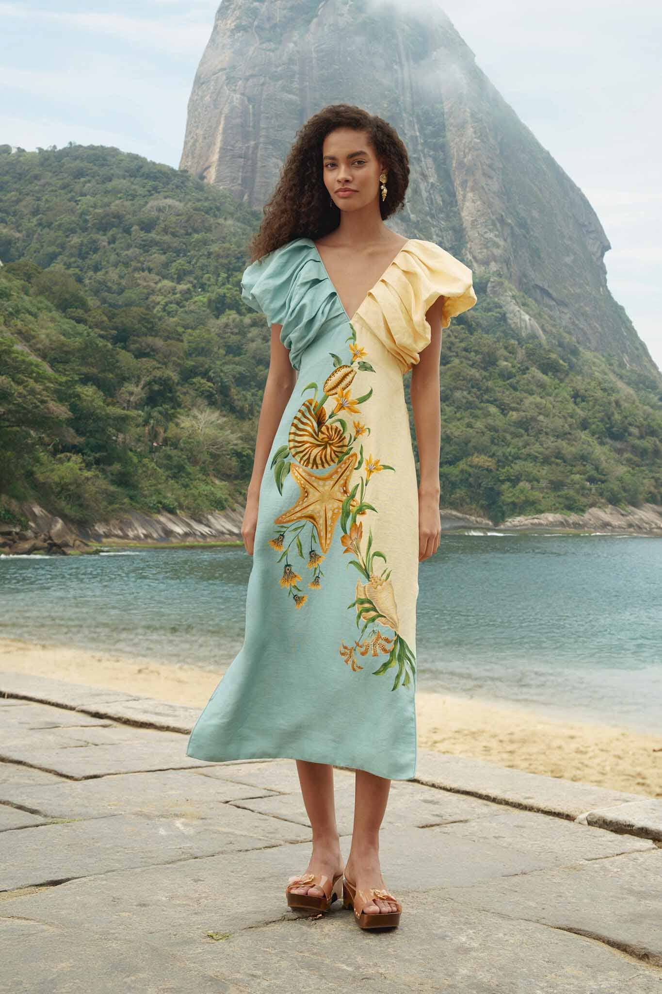 Bicolor Marine Garden Puff Sleeve Midi Dress – FARM Rio