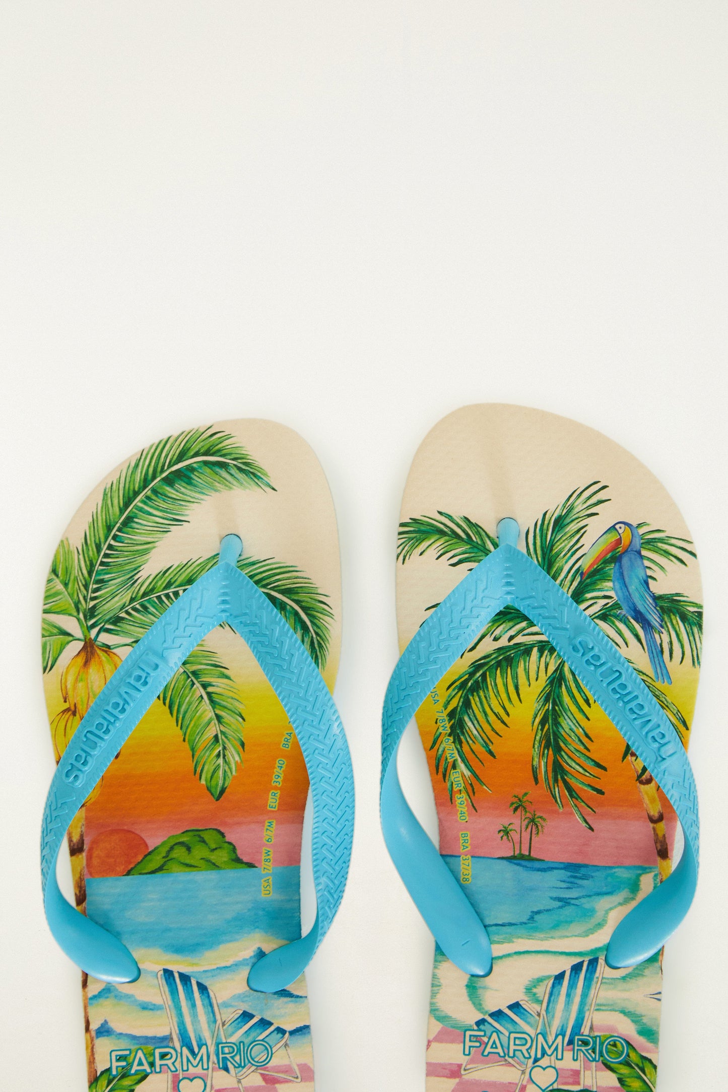 Blue Solar Scenario Havaianas