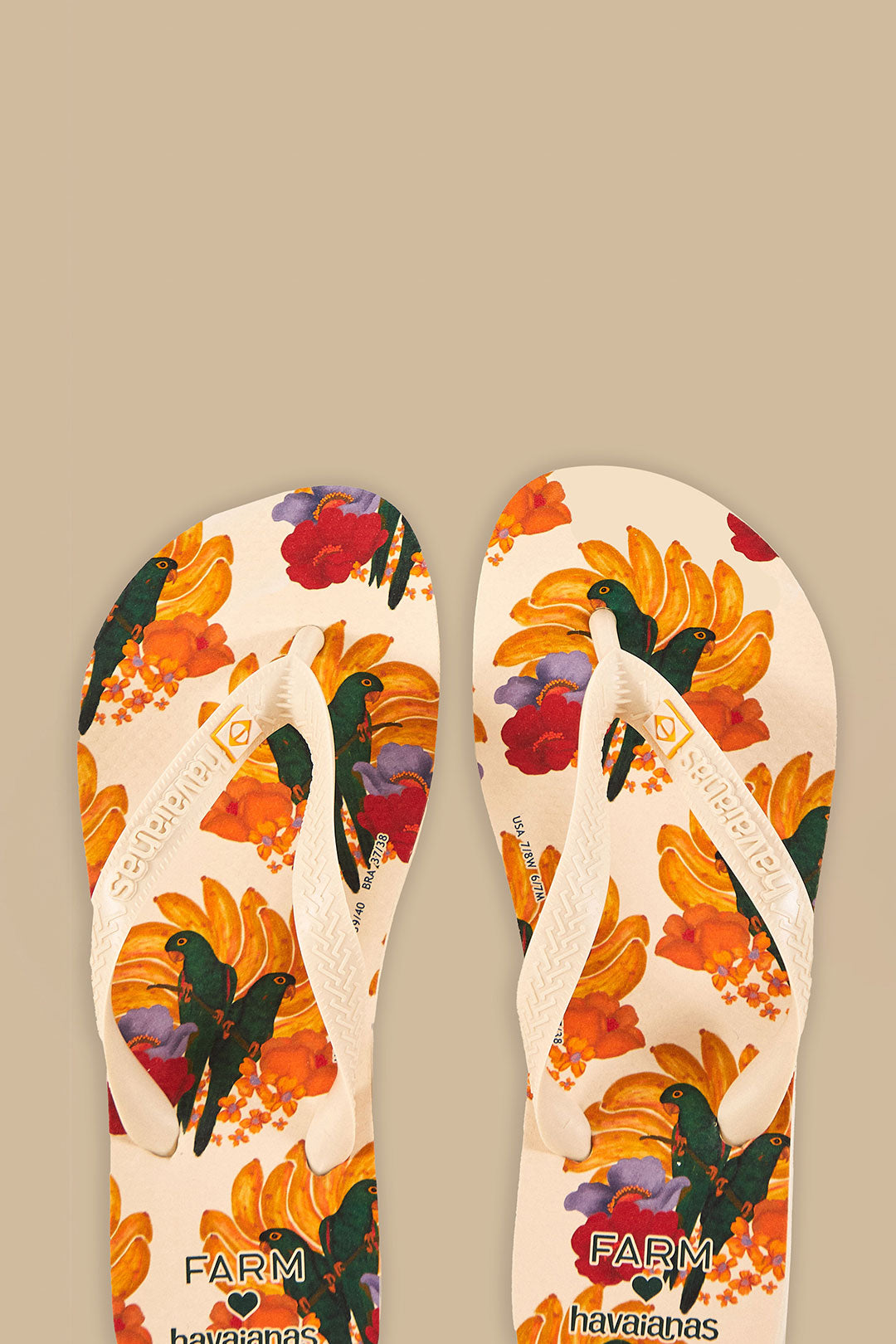 Sandales Havaianas Banana Nest