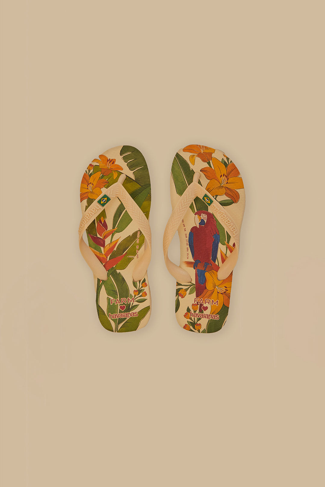 Sandales Havaianas Farm Ararinhas