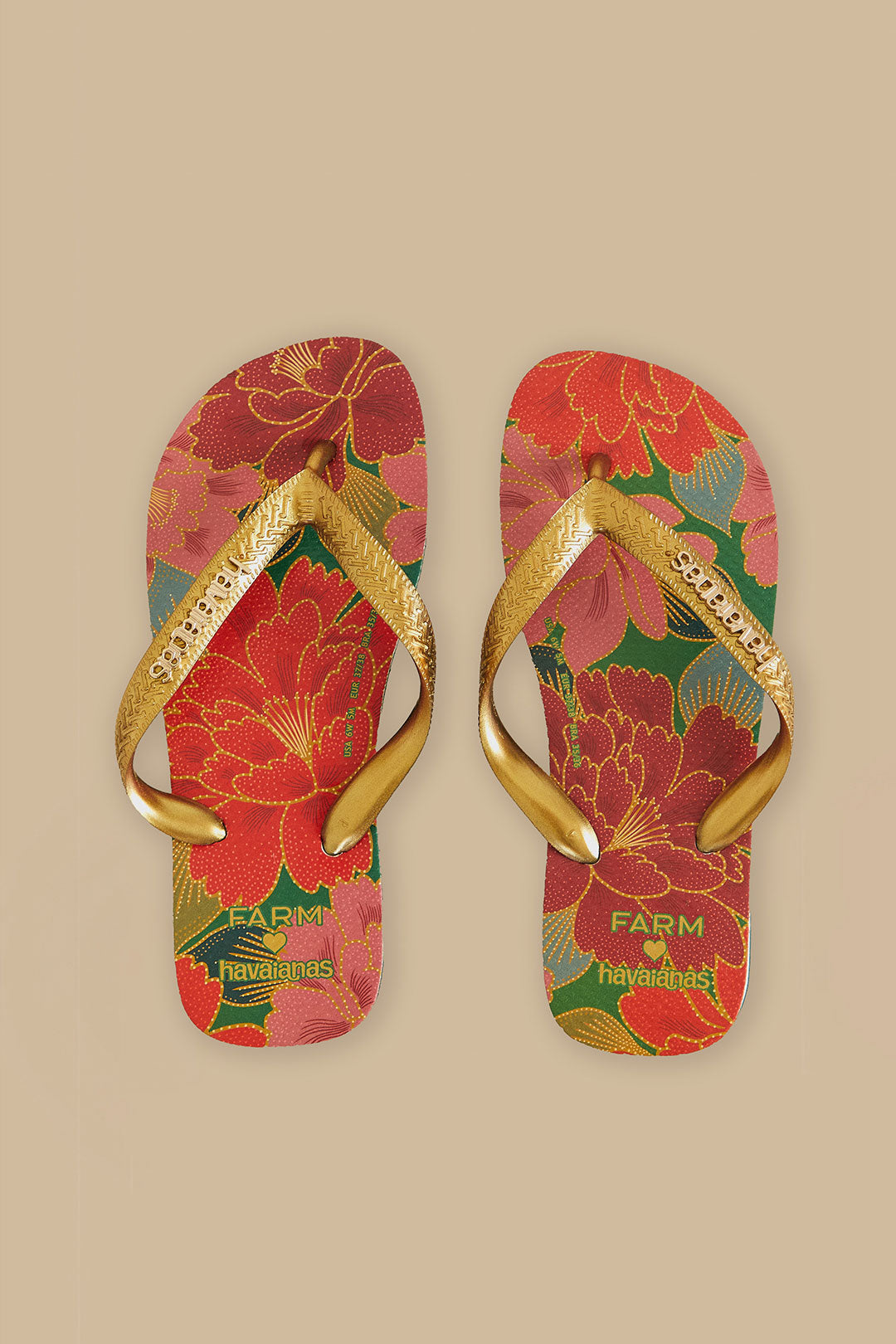 Sandales Havaianas solaires Farm Chita