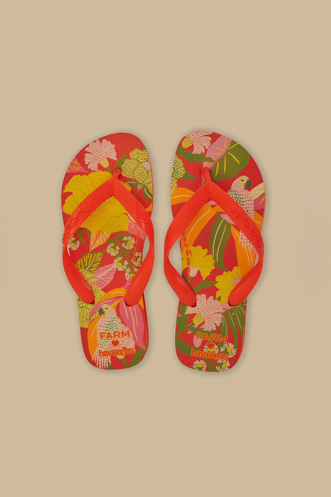 Sandales Farm Neon Flor Havaianas