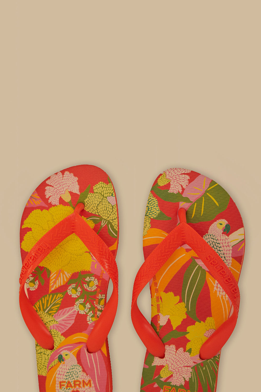 Sandales Farm Neon Flor Havaianas