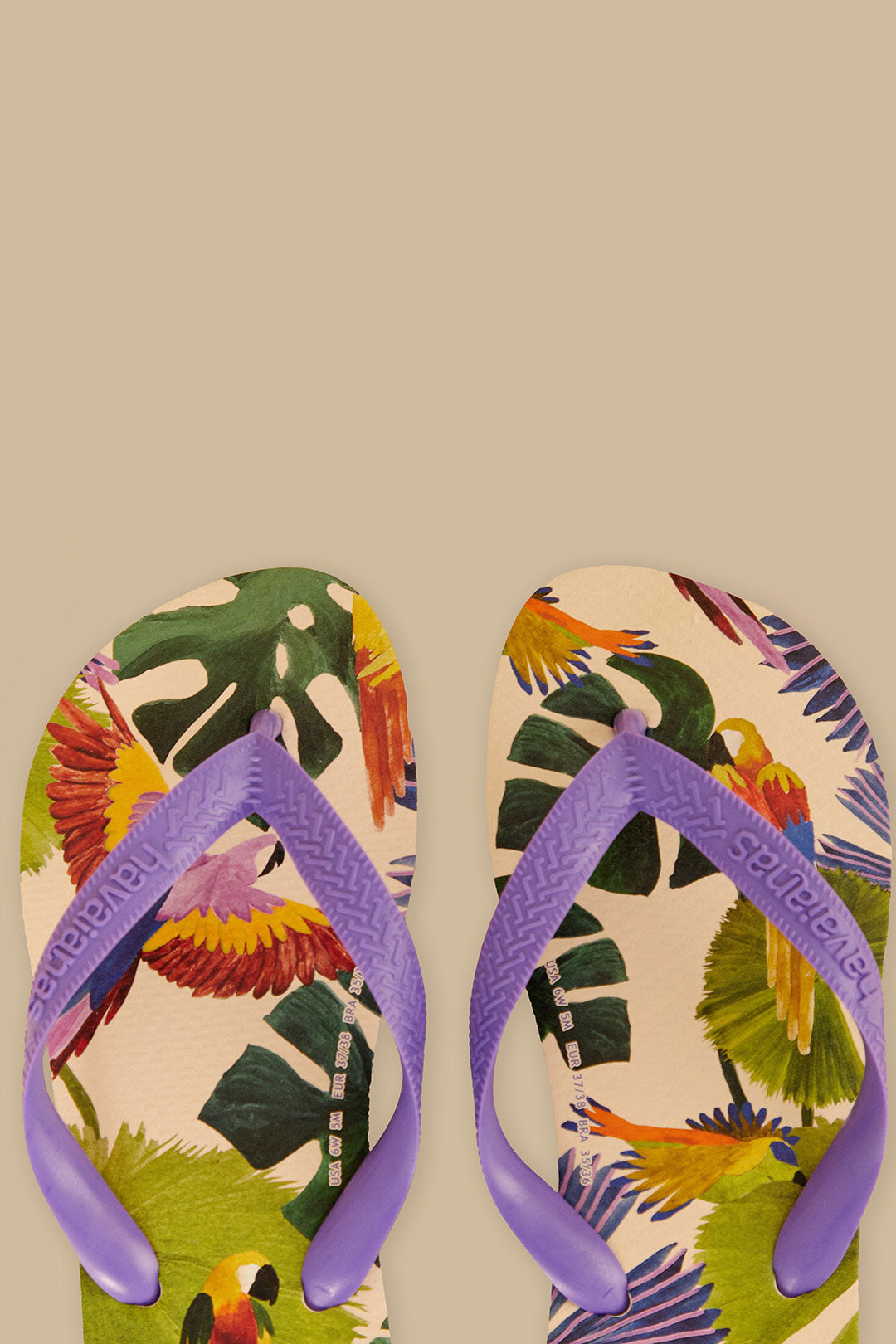 Sandales Farm Passaros Pintados Havaianas