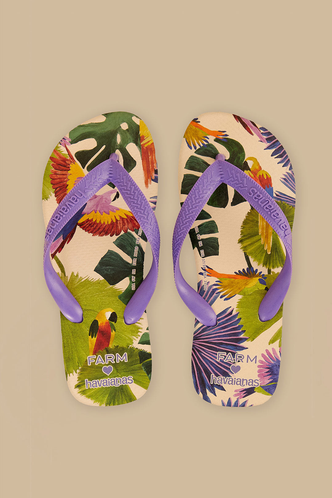 Farm Passaros Pintados Havaianas Sandals