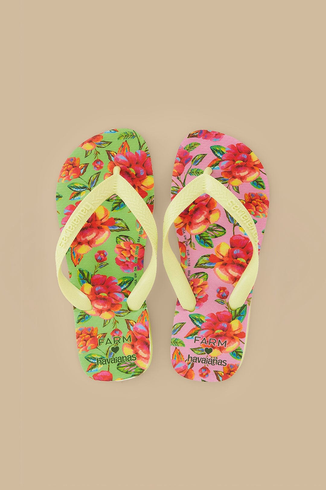Neon Flowers Havaianas