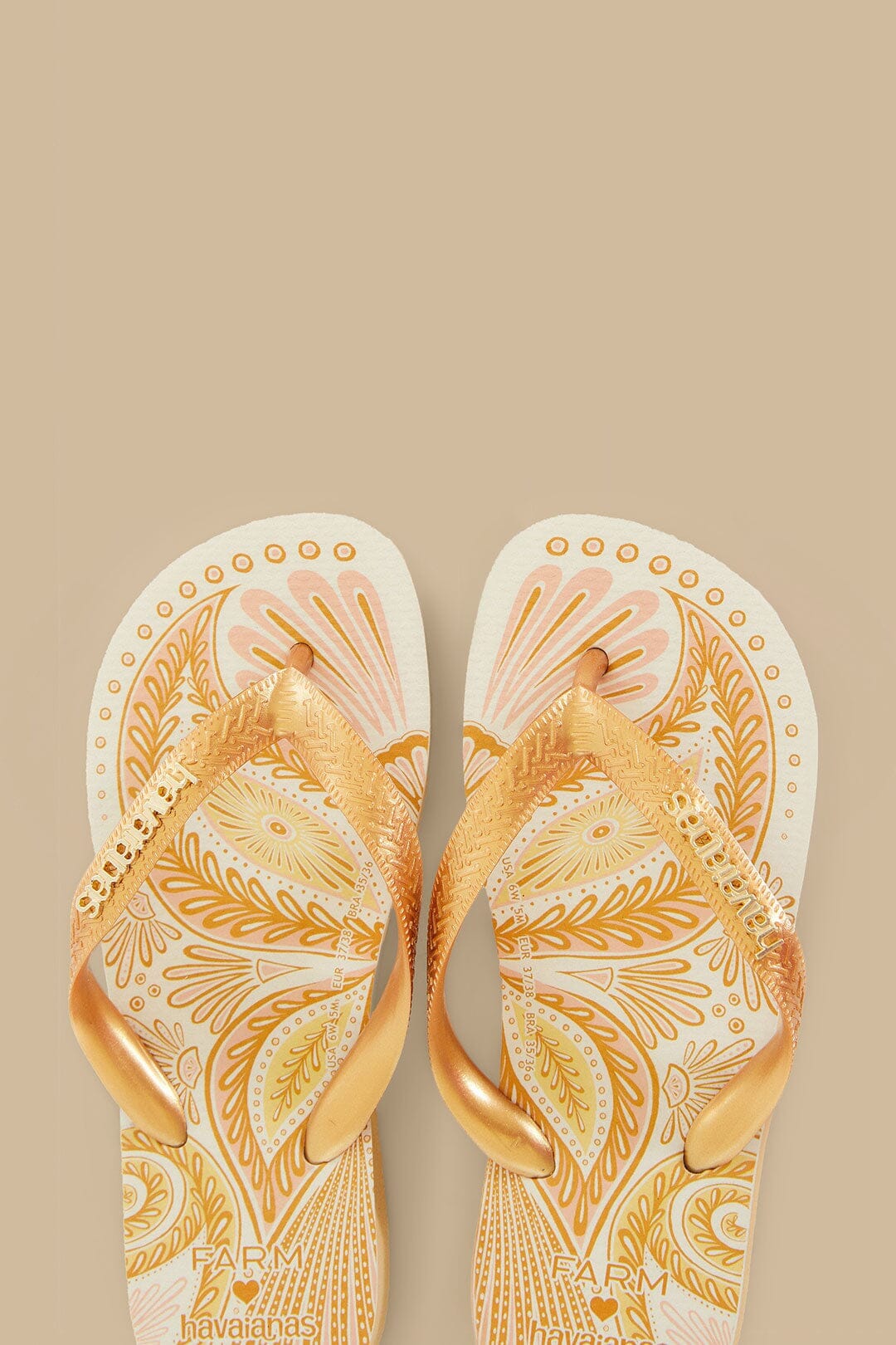 Papillon Havaianas