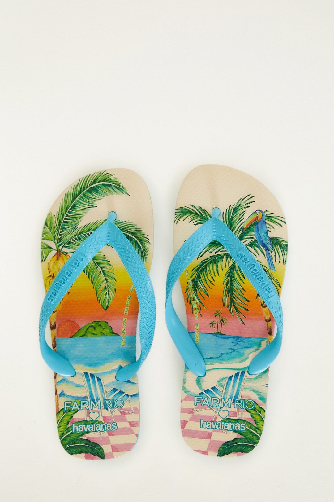 Blue Solar Scenario Havaianas