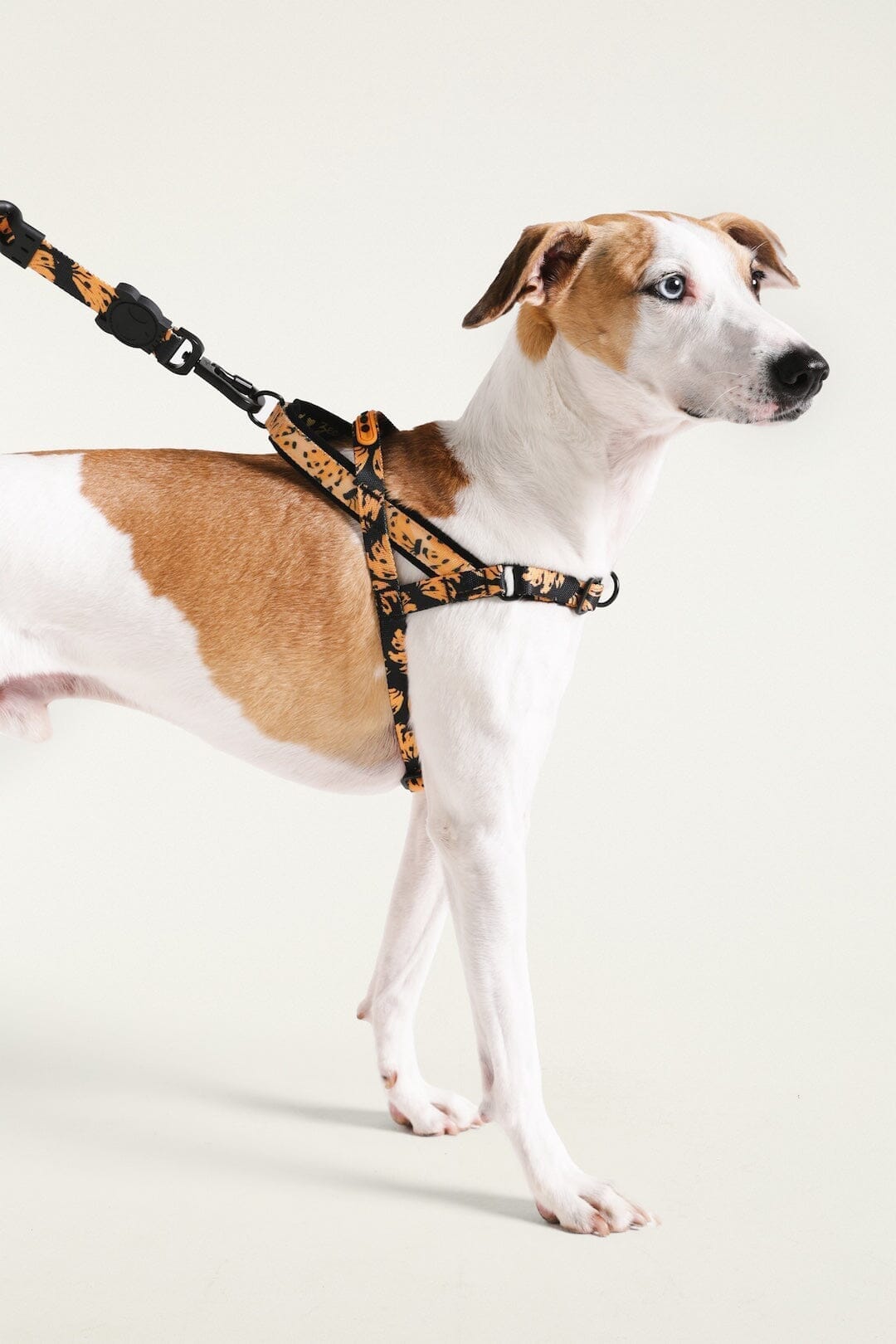 Zeedog Farm Bananas Softer Walk - Size S