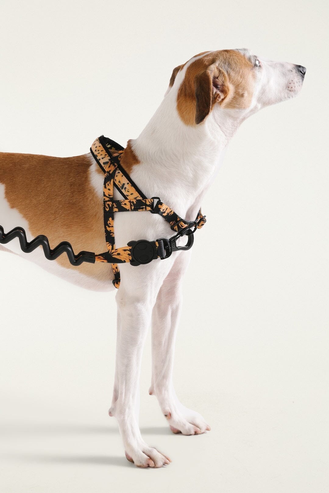 Zeedog Farm Bananas Softer Walk - Size M