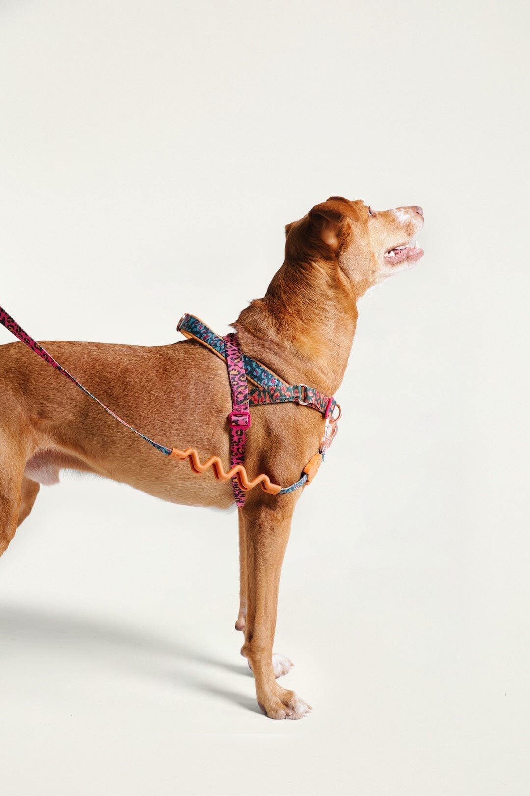 Zeedog Farm Onca Softer Walk - Size S